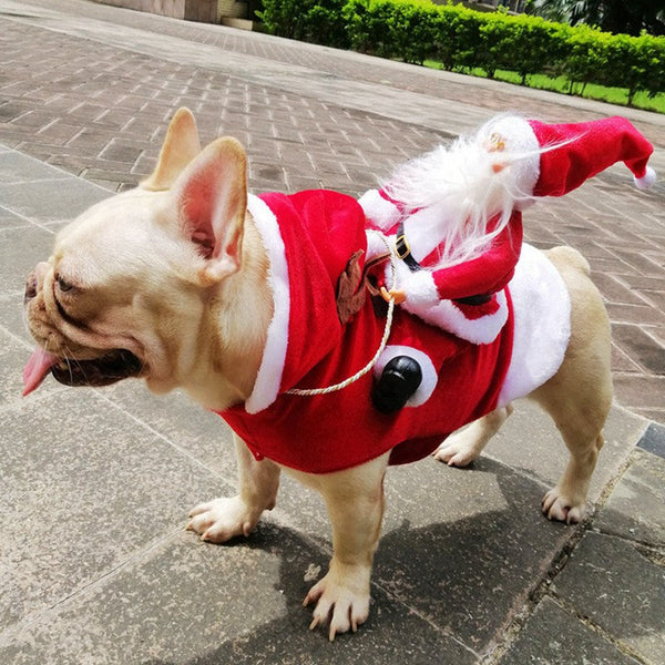 Christmas Coat For Pet - Clothing with Santa Claus