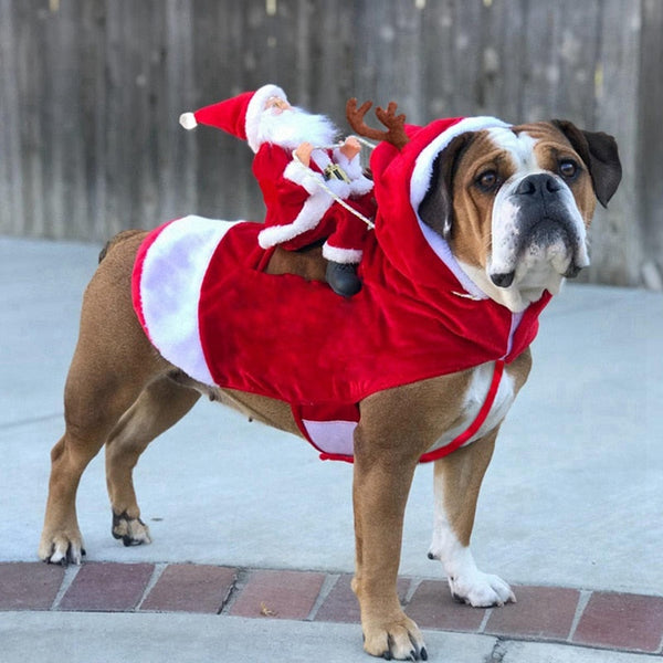 Christmas Coat For Pet - Clothing with Santa Claus